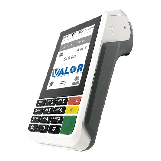 Valor VP 100