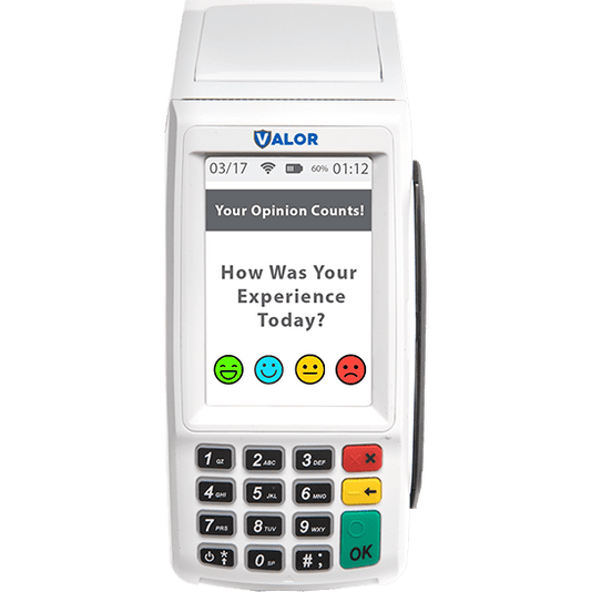 VALOR VL100